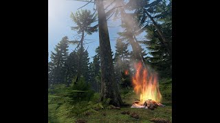 Best Fire Starting Method In DayZ 🔥 screenshot 1