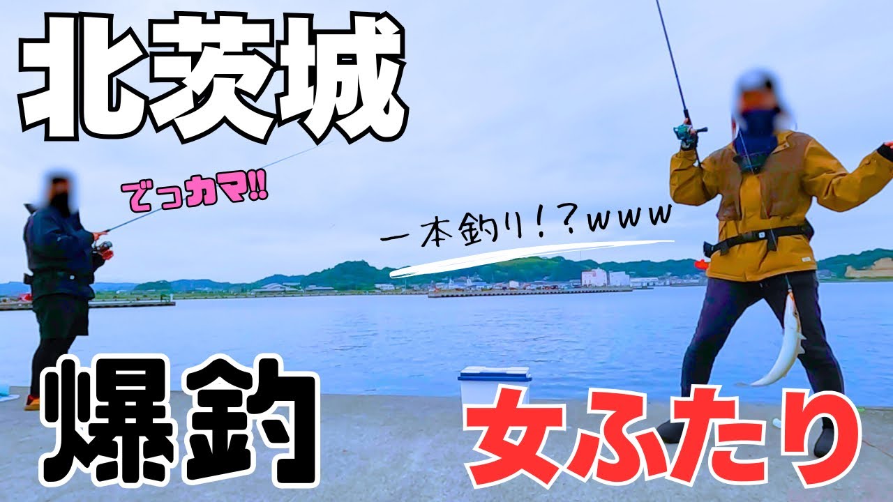 ワームで入れ食い!!無限にカマスが釣れる!?in茨城