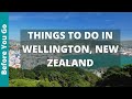 Wellington new zealand travel 11 best things to do in wellington