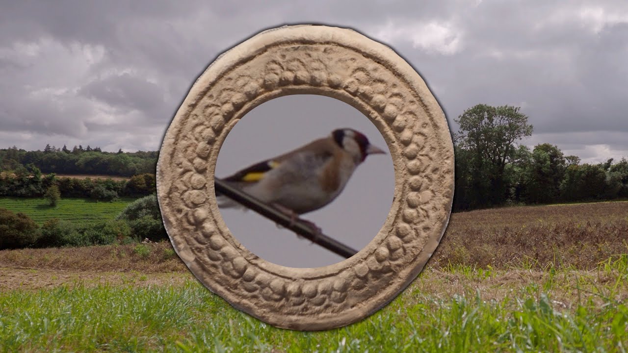 A Goldfinch and the Saxon Charter of Tisbury in Wiltshire
