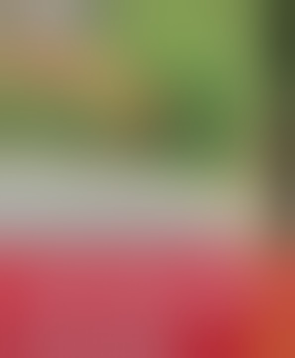 bukan hanya mnusia aja yg bisa mabuk.. anjing pun bisa😂😂😂😂