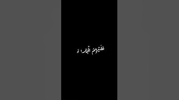 #سورة_الحشر #وديع_اليمني #وحيد #waheed_hamed #xeplore #اكسبلور #لايك