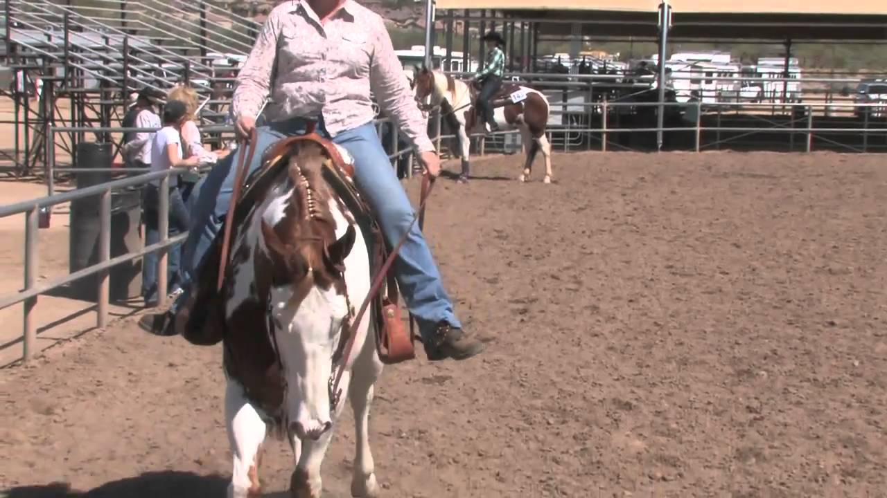 Arizona Paint Horse Club YouTube