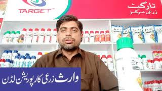 bridge/boron/boron benefits/what is boron