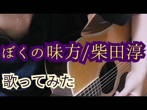 【弾き語り】僕の味方/柴田淳【歌ってみた】