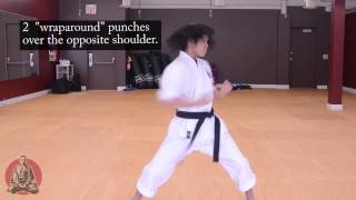 0. Te Waza with Sensei Ben Clarke