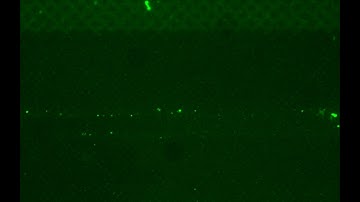 DNA Through Nano-Channel