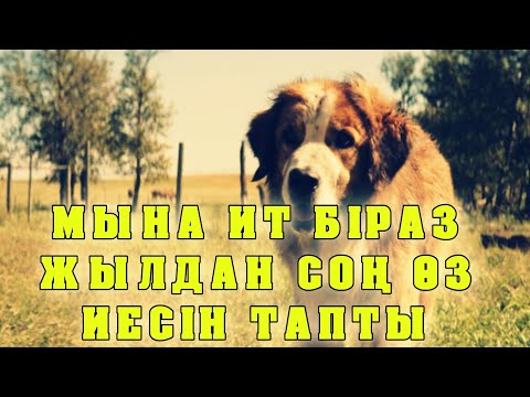 Бейне: Ағылшын бульдогының күшіктерін қалай өсіру керек (суреттермен)