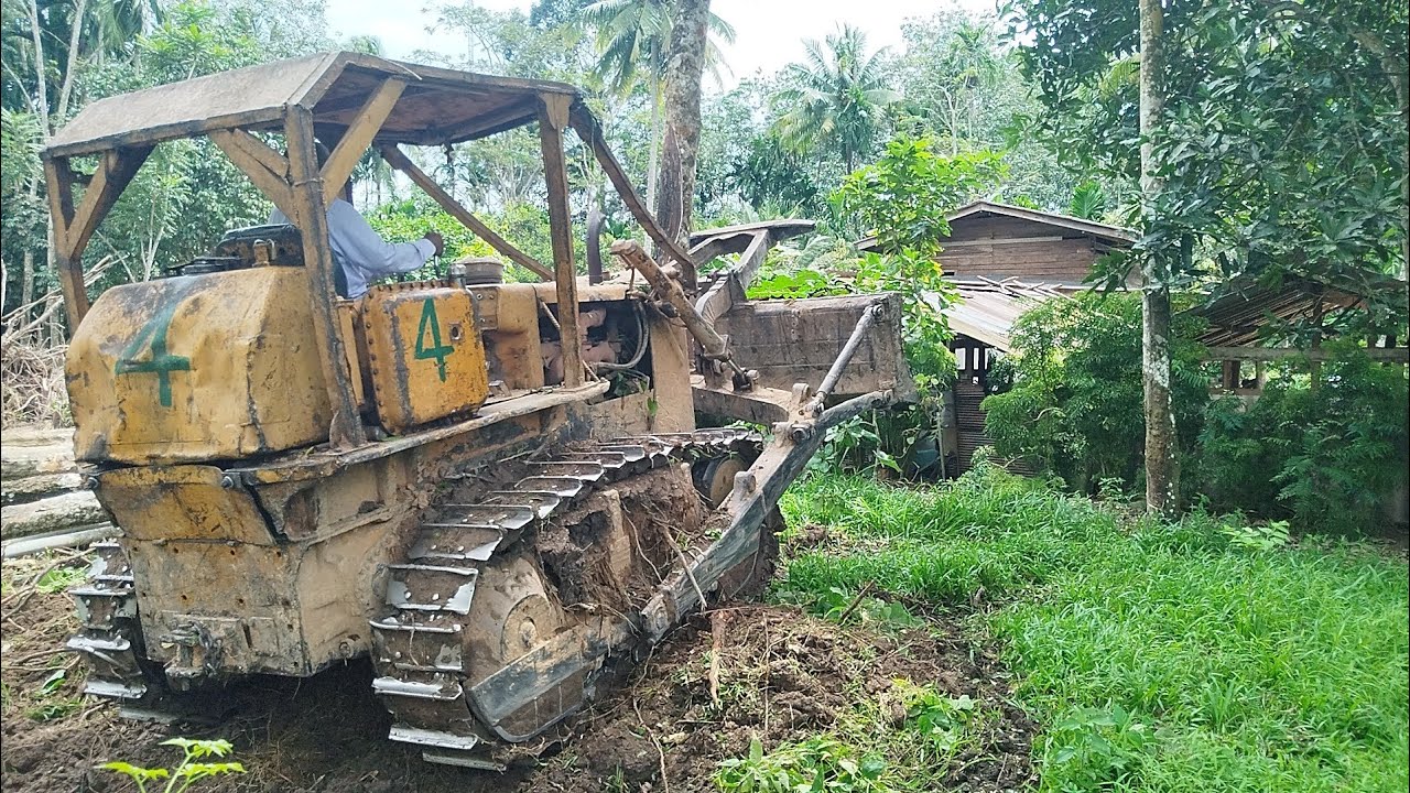 นาทีระทึก!! เกี่ยวเขาควายไม้ยางพาราต้นใหญ่ เอนไปหาบ้าน ชักเกี่ยวรากโคตรแน่น รถแทรกเตอร์เต้นโดดผัดล้อ