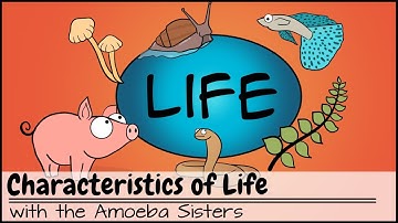 Characteristics of Life