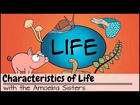 Characteristics of Life