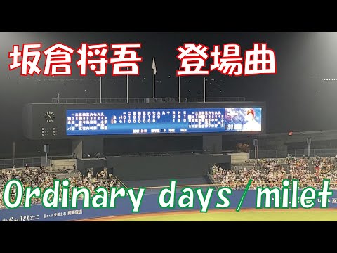 【登場曲】広島東洋カープ　坂倉将吾　Ordinary days/milet