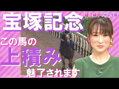 「この馬の上積みに魅了されます」宝塚記念ここだけの陣営情報《細江純子のネタ帳＃16》