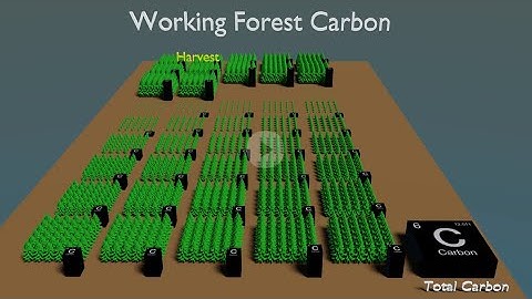 Working Forest Carbon