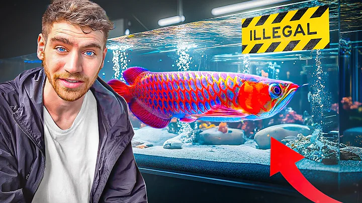 Inside Asia's *RICHEST* Exotic Pet Marketplace!! ... (Tour) $$$ thumbnail