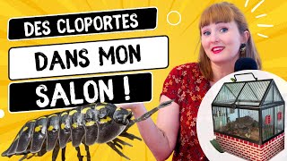 Jadopte Des Cloportes - Tuto Isopode