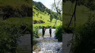 Алтай - большой мозг?? Что? #река #источники #природа #вода #французы #переезд #красота #свобода
