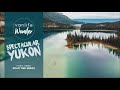 WE SAW CARIBOOS! | Spectacular Yukon | Road Trip Series (Part 3) | Vanlife