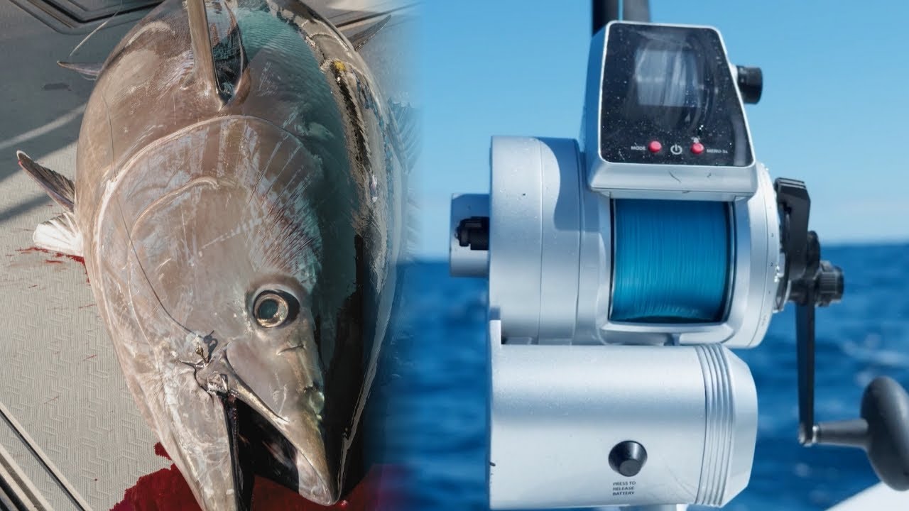 Using the NEW Fathom Electric Offshore For Giant Bluefin Tuna Using the NEW Fathom Electric Offshore For Giant Bluefin Tuna