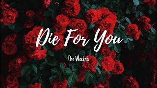 The Weeknd - Die For You (Lyrics)