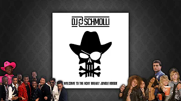 DJ Schmolli -  Welcome To The Achy Breaky Jungle Boogie
