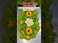 #artecomsaladas #decoracaocriativa #saladascriativas