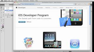 Publish Settings for using Flash CS5 to create an iPhone or iPad App