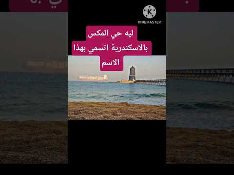 ايه حكايةحي المكس بالاسكندرية ولديه اتسمي كدا  13000