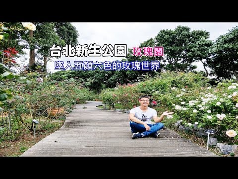 [2019台北秋冬玫瑰展] 新生公園的玫瑰園一年四季都有玫瑰花，秋冬最佳賞花時刻、品種眾多的玫瑰等你來品味