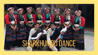 SHARKHUMBU DANCE