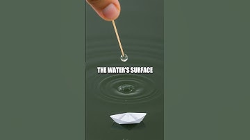 Soap-Powered Boat Experiment: Surface Tension Adventure