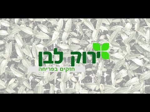 וִידֵאוֹ: פרחים שנזרעים ישירות לערוגה