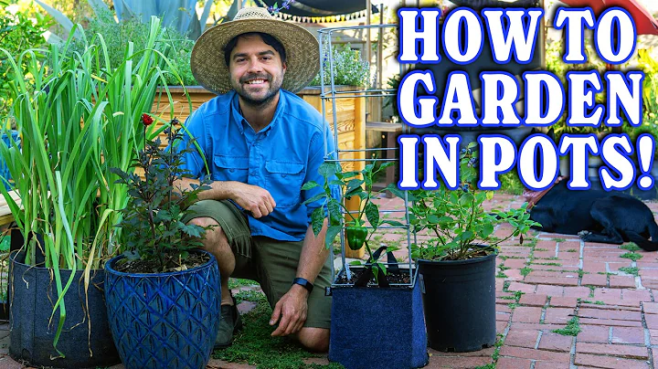 Container Gardening 101: From Pot To Plant thumbnail