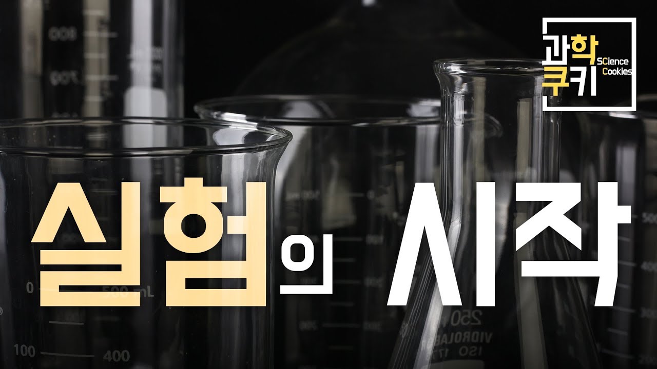 대체 ‘실험’은 언제부터 시작되었을까? - 연금술 편