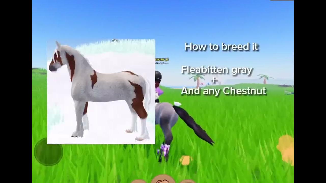 i-am-online-if-u-want-to-breed-read-pin-for-info-youtube