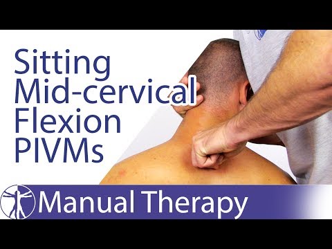 Intervertebral Motion Assessment