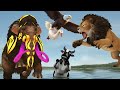 Woolly Mammoth Vs Cow Duck Vs Monster Lion Tiger