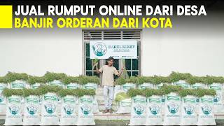 Download Lagu BUKAN MAIN! JUAL RUMPUT ONLINE DI DESA PESANAN  BANYAK DARI KOTA MP3