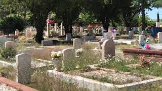 Nogales, AZ city cemetery full