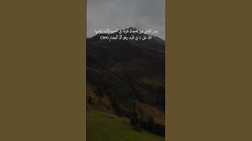 سوره البقره الايات 204 205