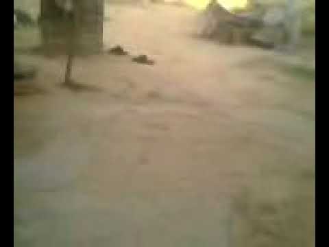Yadeesh Yadeesh baby video(1) - YouTube
