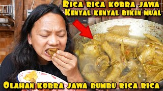 RICA RICA JAVANESE COBRA