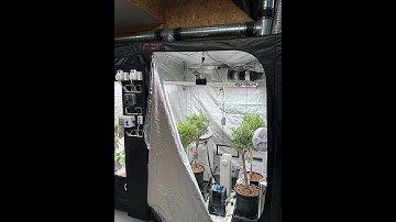 𝗚𝗲𝘁𝘁𝗶𝗻𝗴 𝘁𝗵𝗲 𝗯𝗲𝘀𝘁 𝗼𝘂𝘁 𝗼𝗳 𝗖𝗢𝟮 𝘀𝘂𝗽𝗽𝗹𝗲𝗺𝗲𝗻𝘁𝗮𝘁𝗶𝗼𝗻 𝗶𝗻 𝘆𝗼𝘂𝗿 𝗴𝗿𝗼𝘄 𝗿𝗼𝗼𝗺 𝗲𝗻𝘃𝗶𝗿𝗼𝗻𝗺𝗲𝗻𝘁!