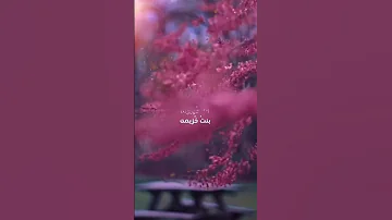 زوجاته إحدى عشر عائلة النبي محمد عليه الصلاة والسلام 