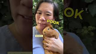 Welcome to the Art Prof Discord A Safe Inclusive Global Community for Artists