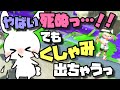 彼氏にも聞かせたことないくしゃみを晒します。#花粉症 #本邦初公開 #需要どこ #ガチマが壊れた【まいにちぶらすたー!23日目】【スプラトゥーン2】【女性実況】