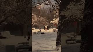 Апрель. 2022 Год