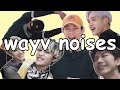 Wayv noises