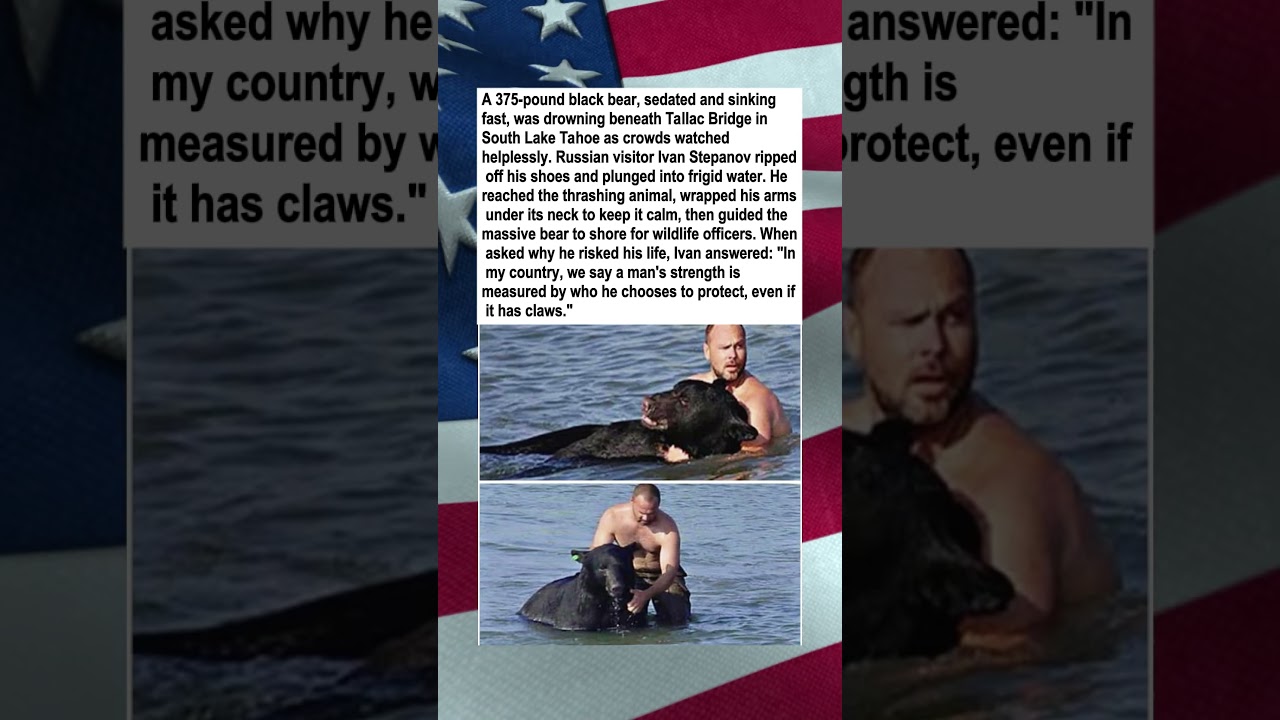 Russian Tourist Saves Drowning Bear