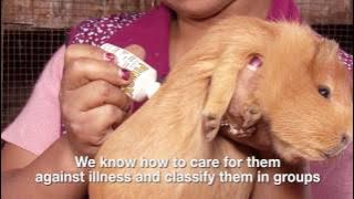 CSR: “Misky Cuy”- Project of Productive Development